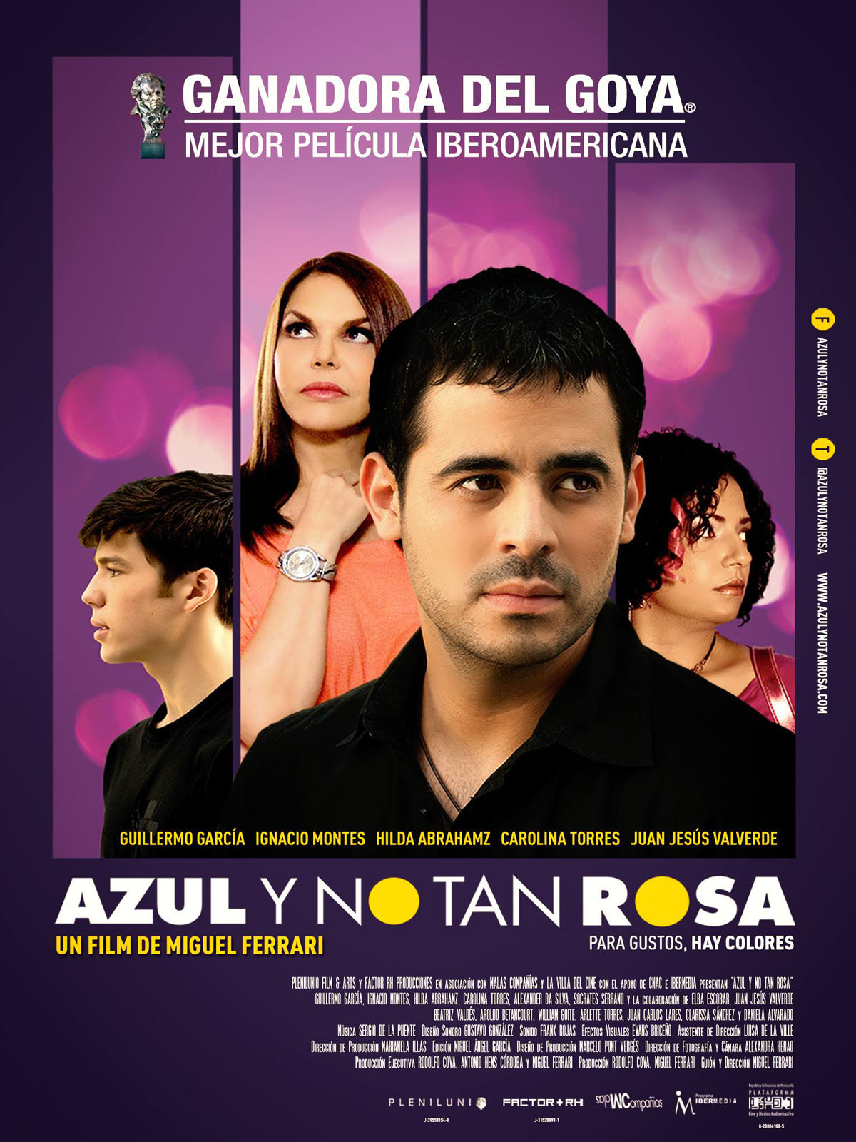 Lee más sobre el artículo Azul y No Tan Rosa (2011)