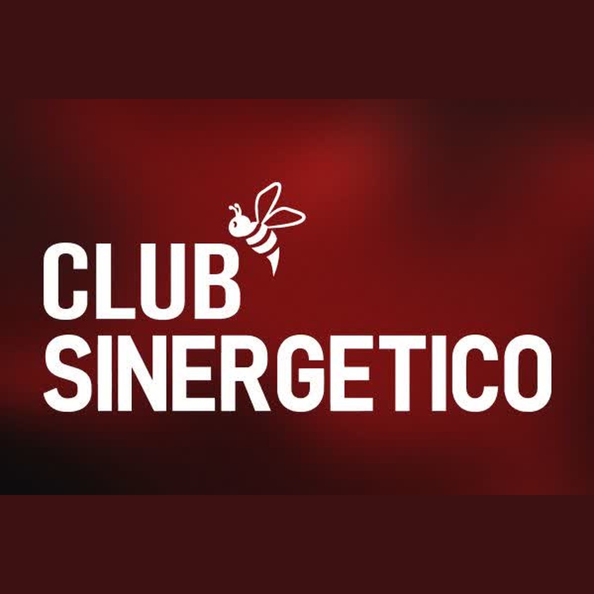 Club Sinergético – Manuel de León