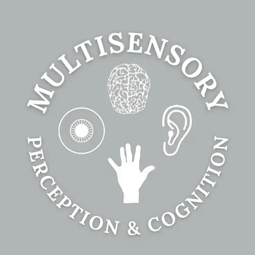 Multisensory Perception and Cognition Lab