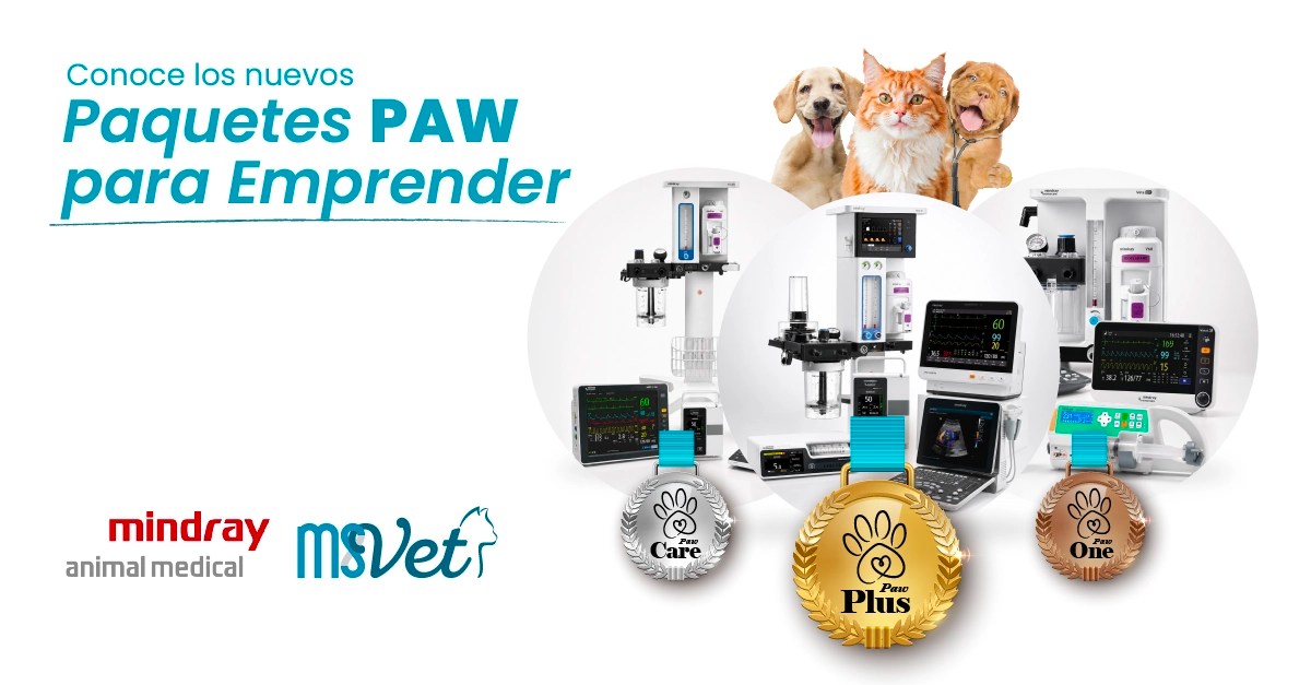 Conoce los nuevos paquetes paw, ideales para emprender tu clínica veterinaria