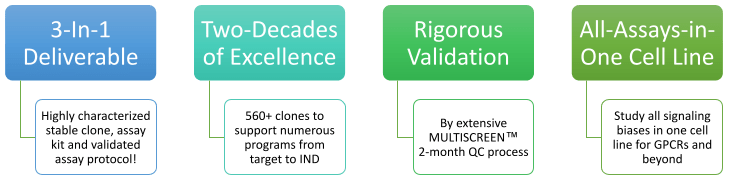 Gpcr Custom Cell Line Development Multispan Inc - City Photos - Incredible Full HD Collection
