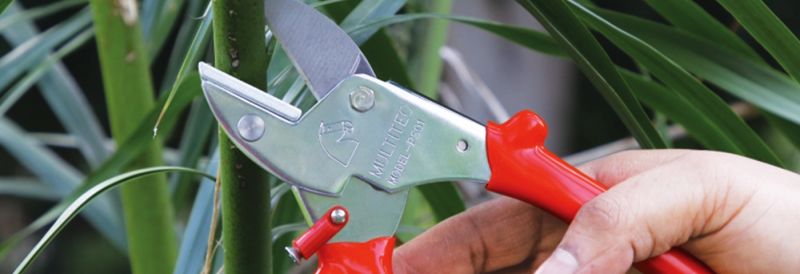 Multi Tec Pdf - Gradient Illustration Collection - Mobile Quality