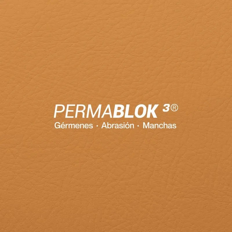 Pranna Nacar Multitop - Creative High Resolution Vintage Illustrations | Free Download