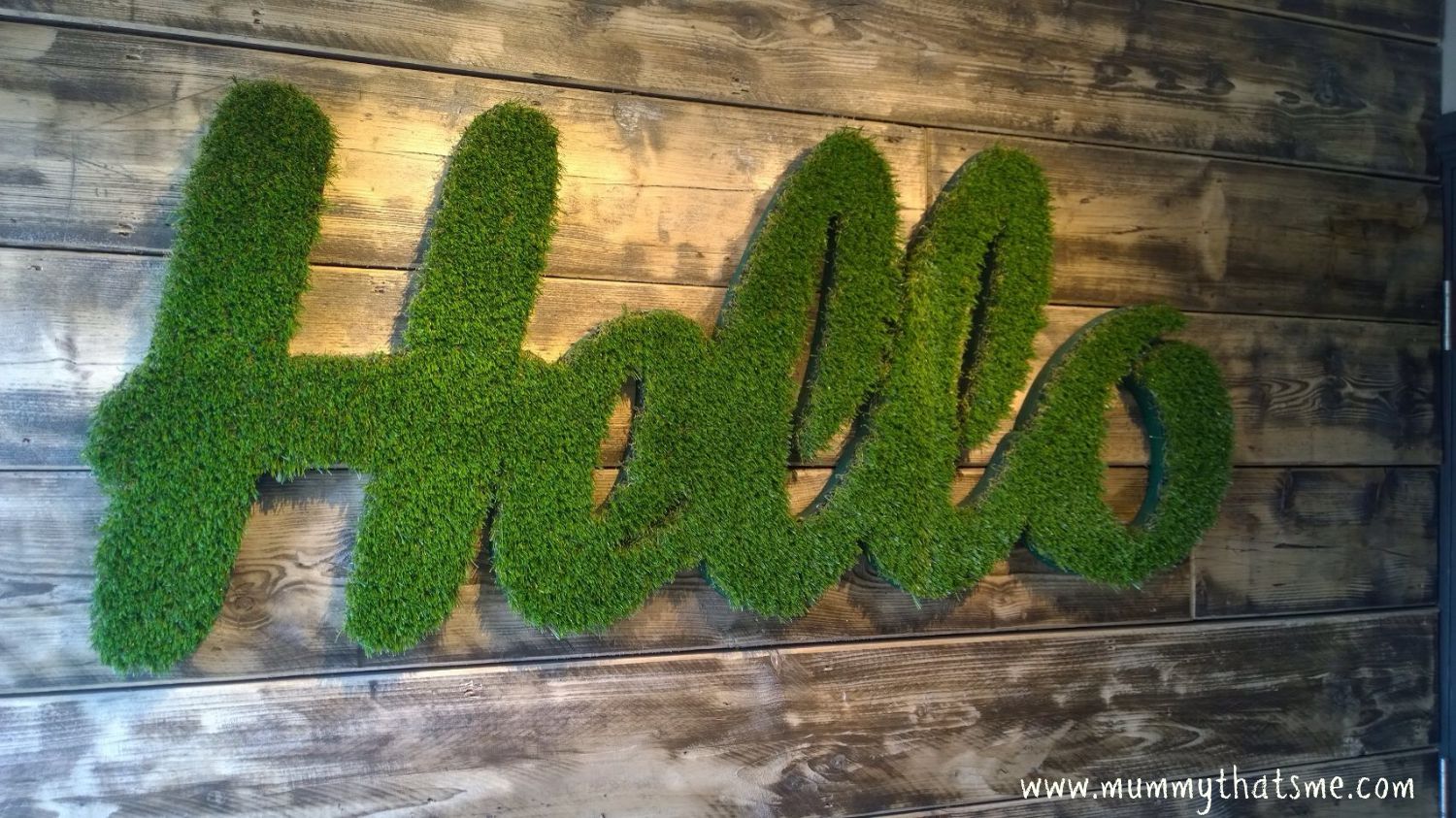 Beefeater Restaurant Countess Wear Exeter Review