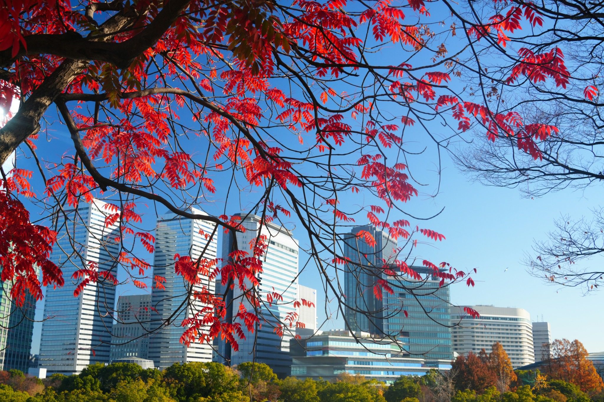 East Asian Urban Wonders: Discovering Core Hubs 1