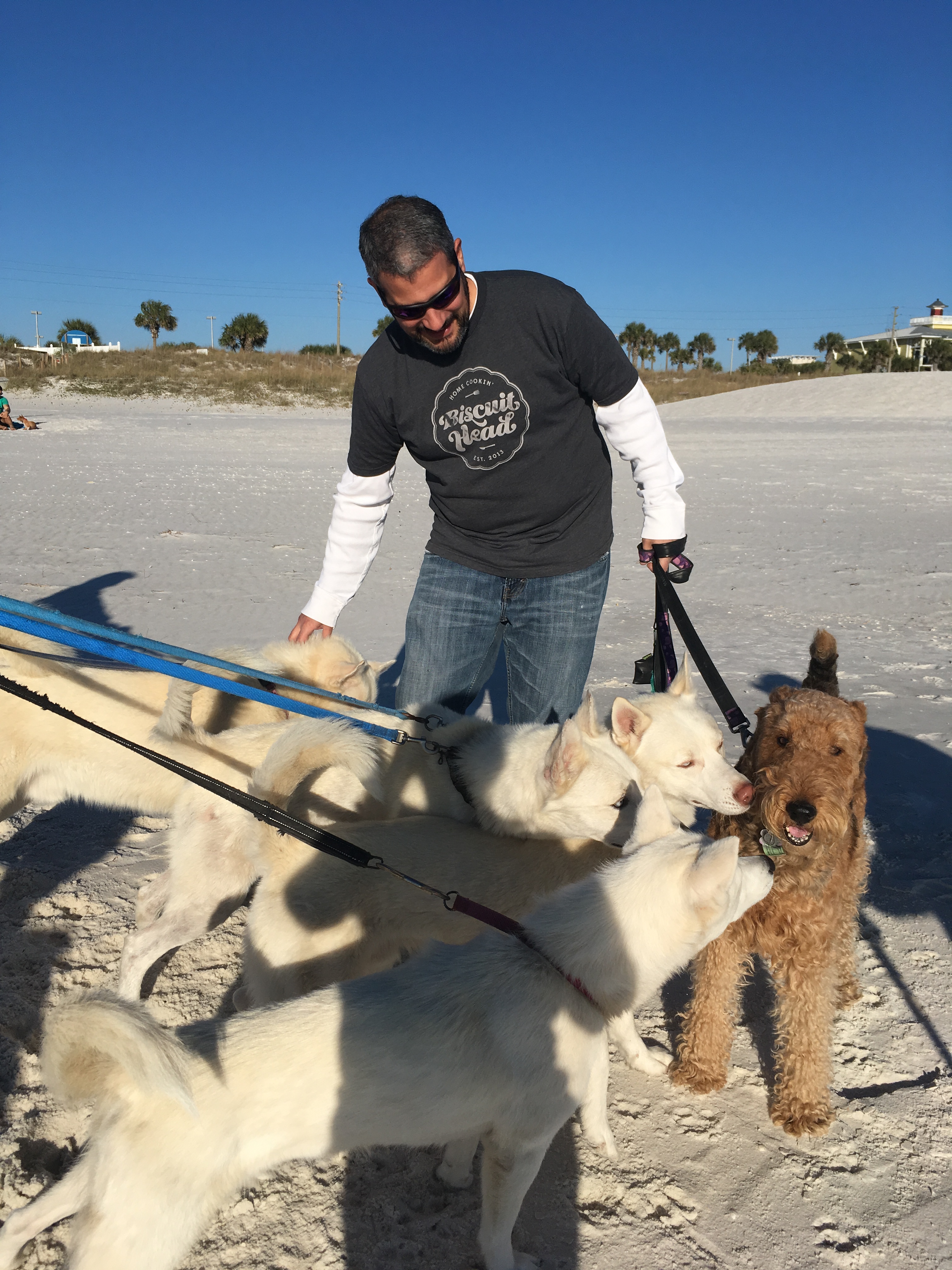 Of course they couldn't keep their snouts off me......