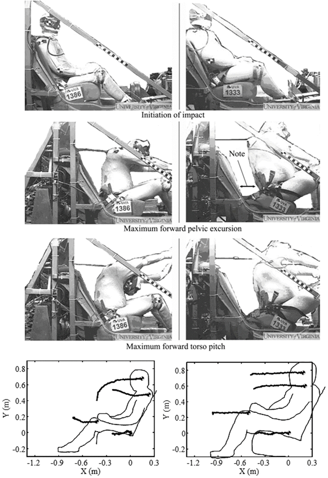 Restraint System Biomechanics | Musculoskeletal Key