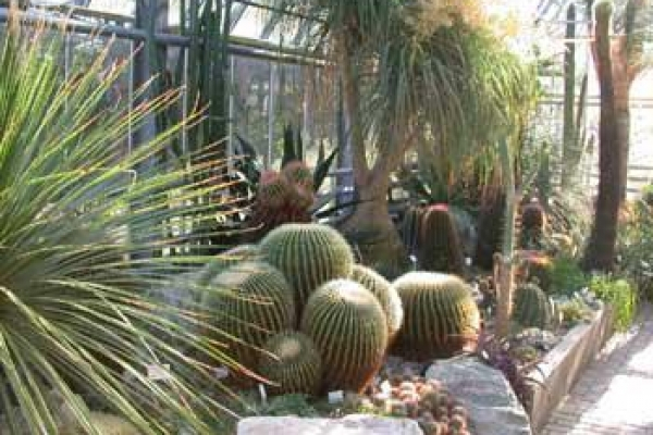 Botanischer Garten Bochum Ruhr Universitat Candeeland Lomography