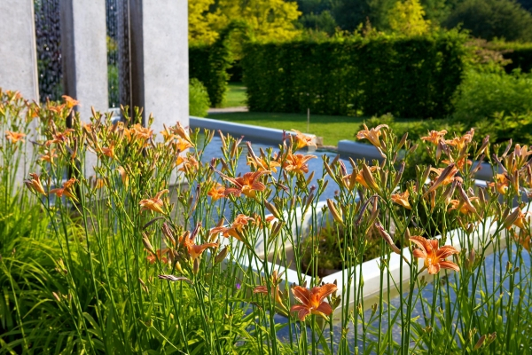 Garten Der Sinne Merzig Ungesund Photographie Lucas Garte