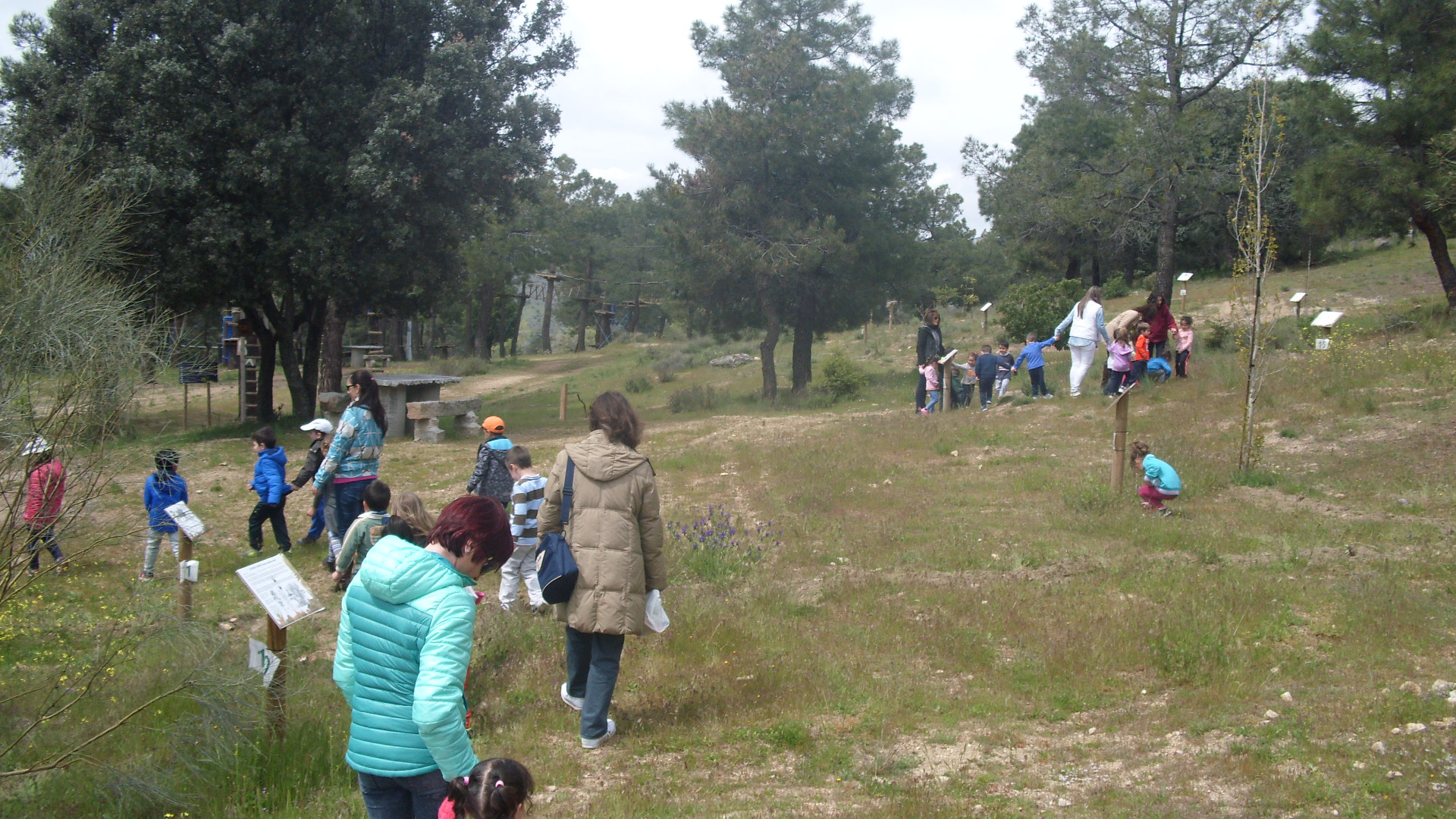 ACTIVIDADES 11