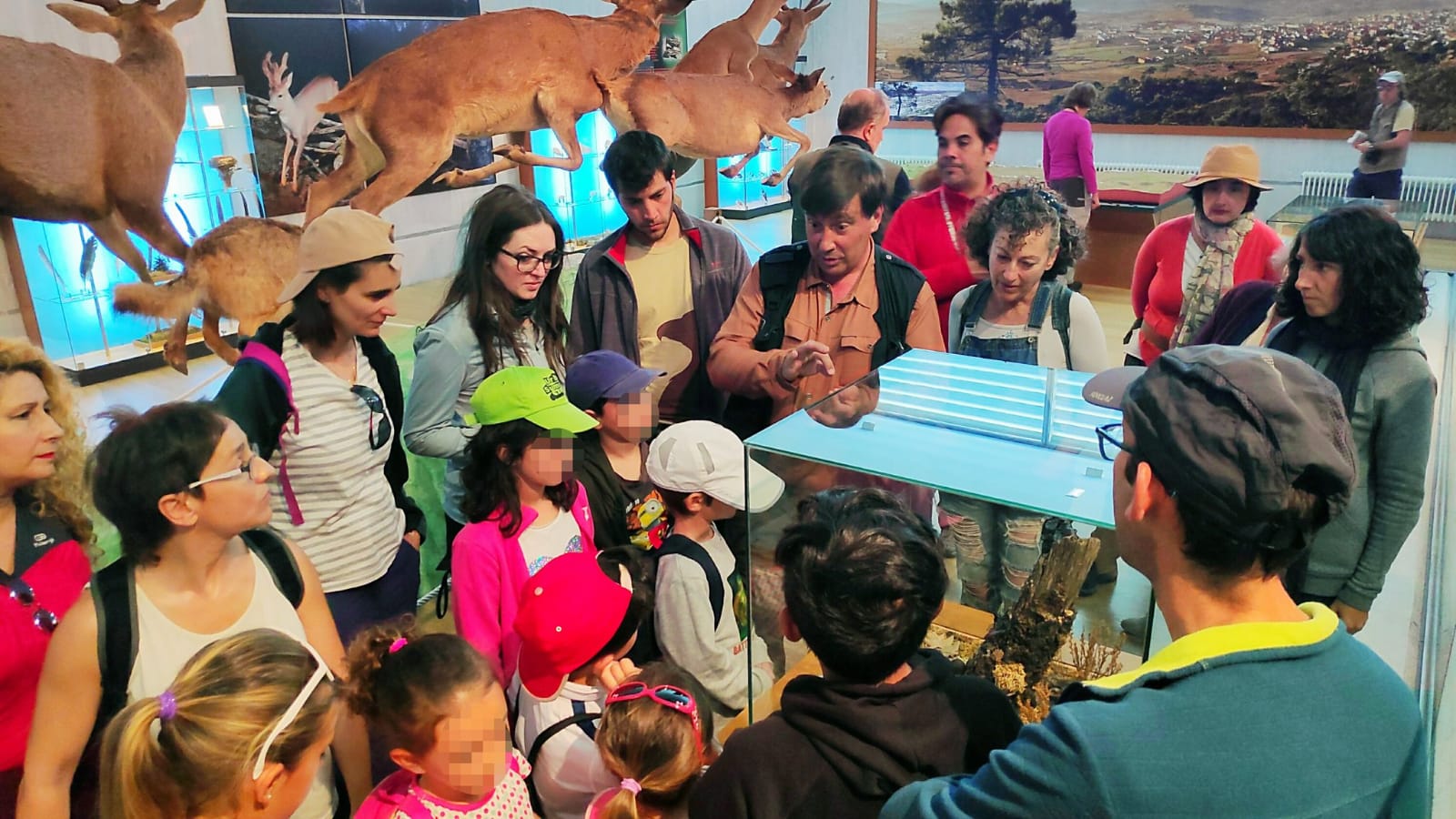 Visita Guiada MUSEO 2