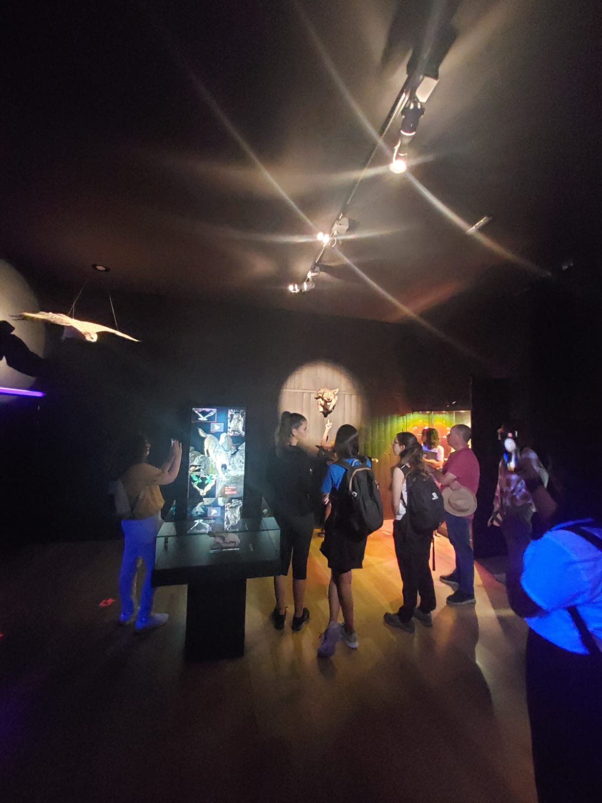 Visita Guiada MUSEO 4