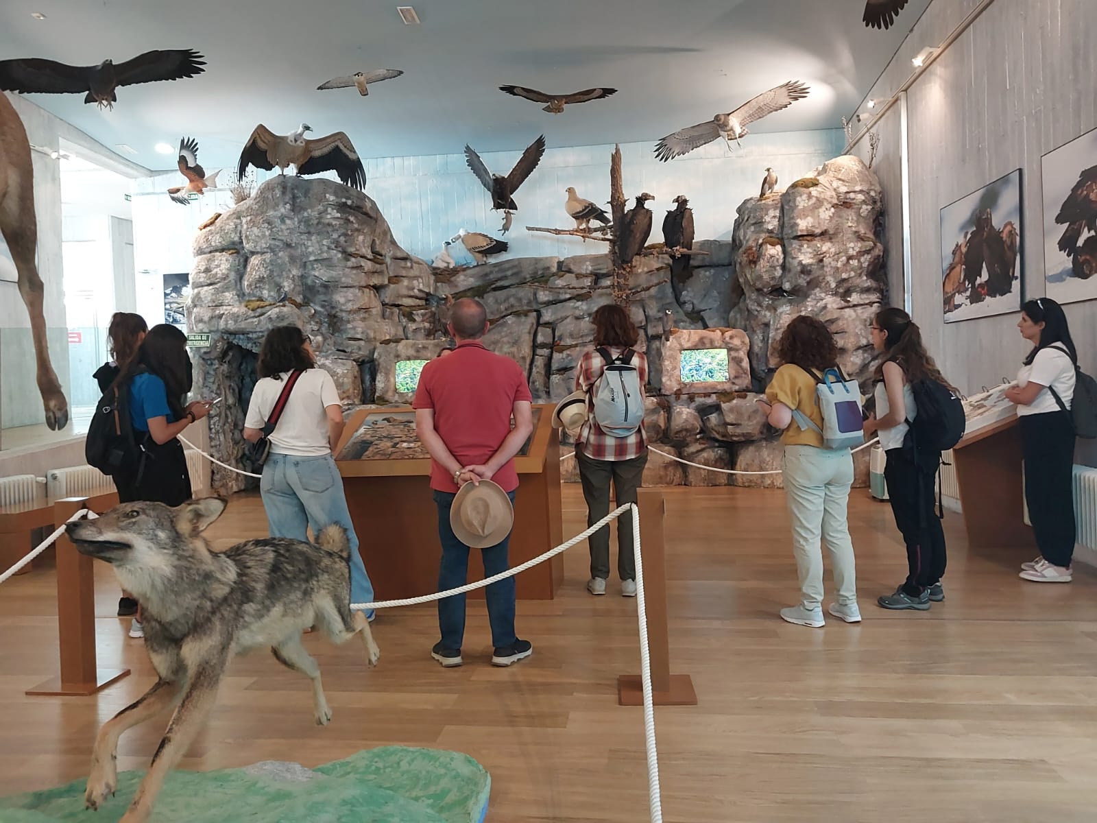 Visita Guiada MUSEO 5