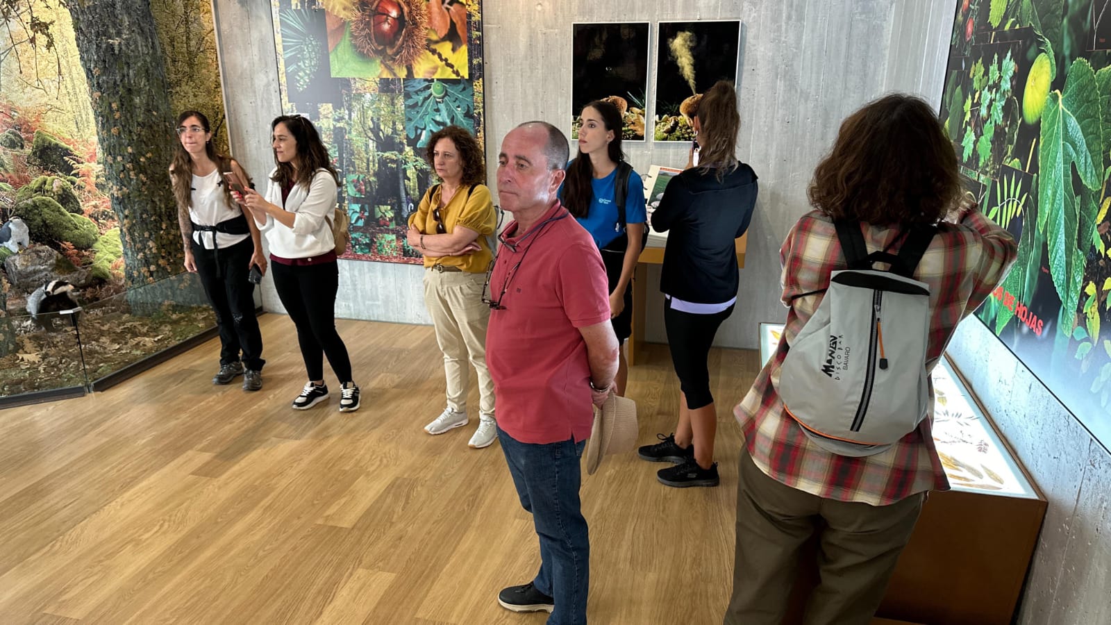 Visita Guiada MUSEO 6