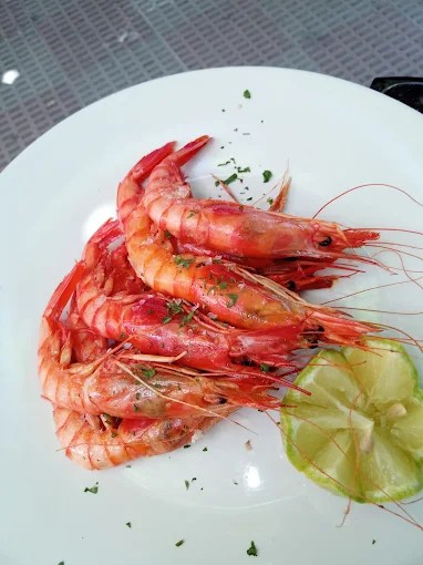 Plato marisco