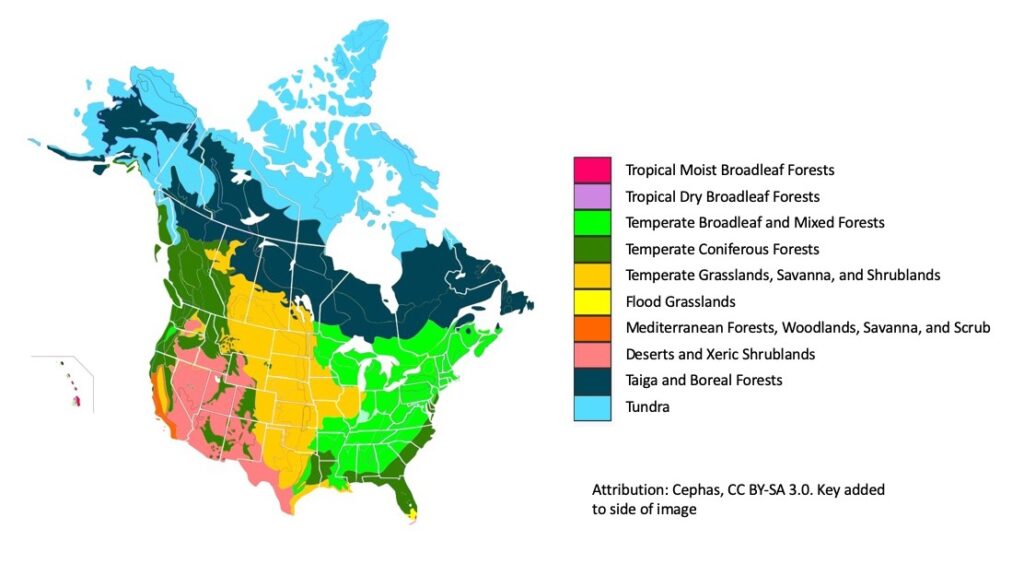 Habitat Hall MSU Museum Biomes Map 1024x564 