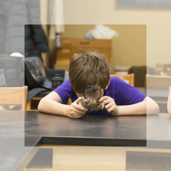 KAM Blog - Exhibits and Events