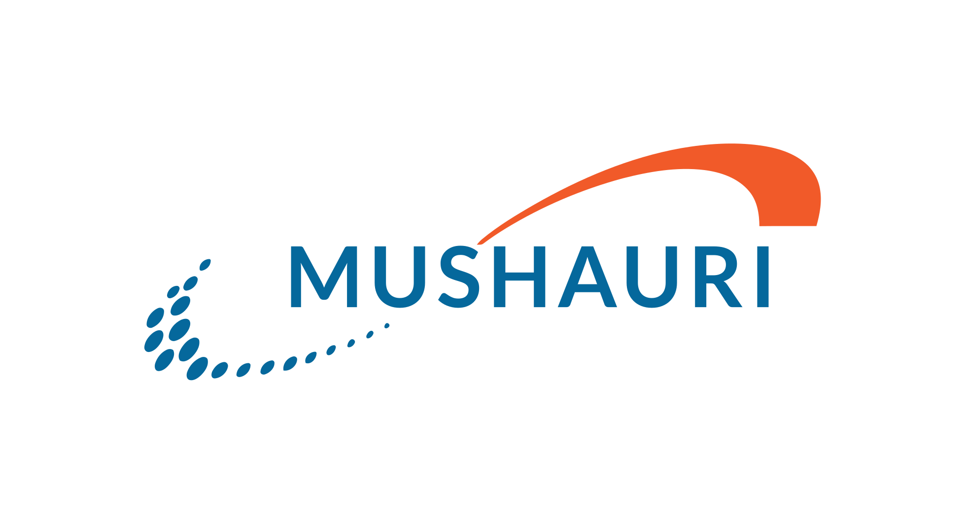 Mushauri Leadership Hub