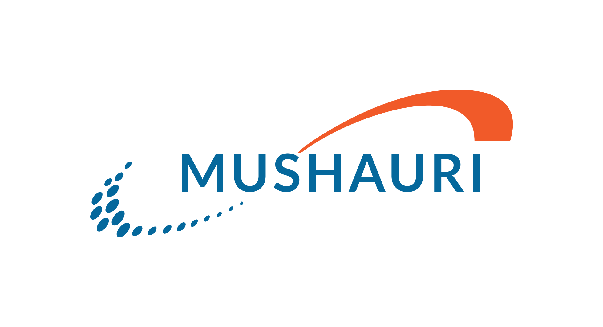 Mushauri Leadership Hub