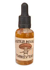 Turkey Tail Extract