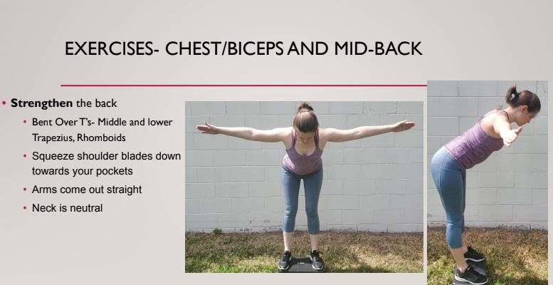 Exercise Mid Back
