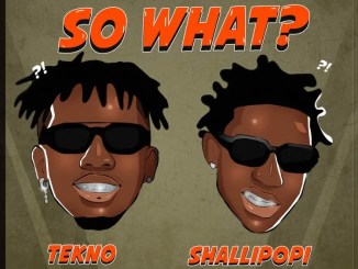 Tekno & Shallipopi - So What