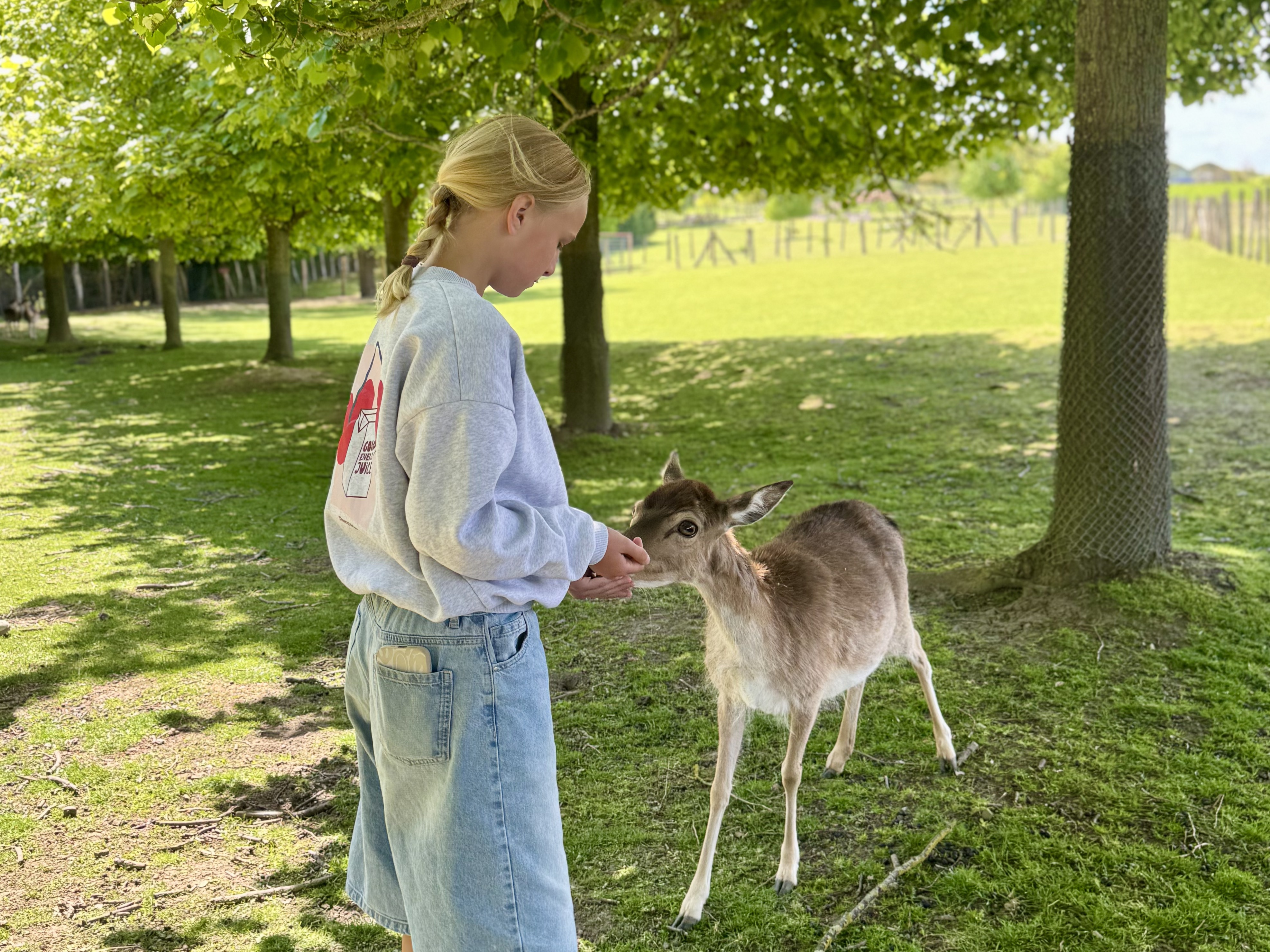 Tierpark Wismar mit Kindern – lohnt sich das?