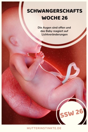Á 20 Ssw Schwangerschaftswoche Details Im Uberblick