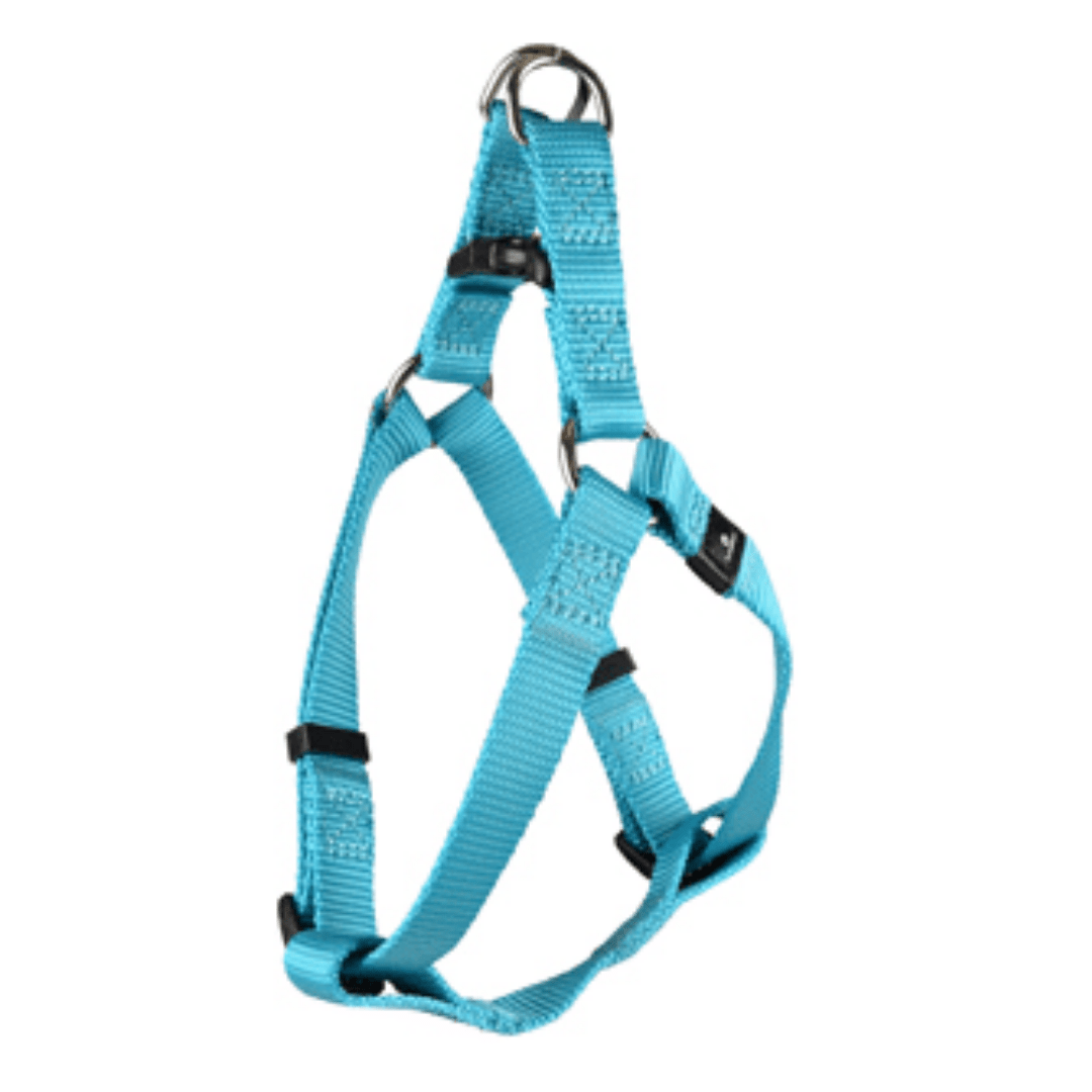dex dog harness