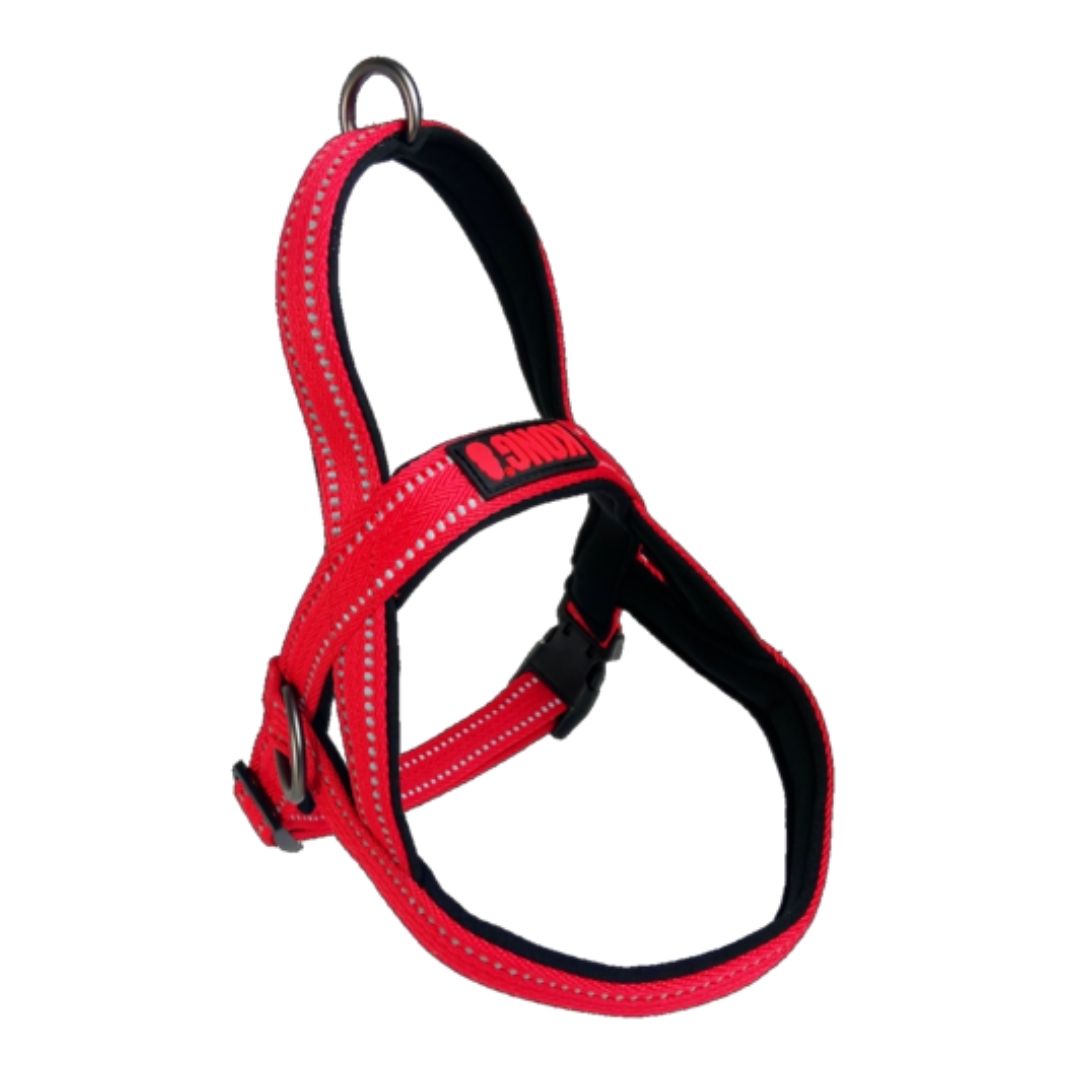kong harness with handle