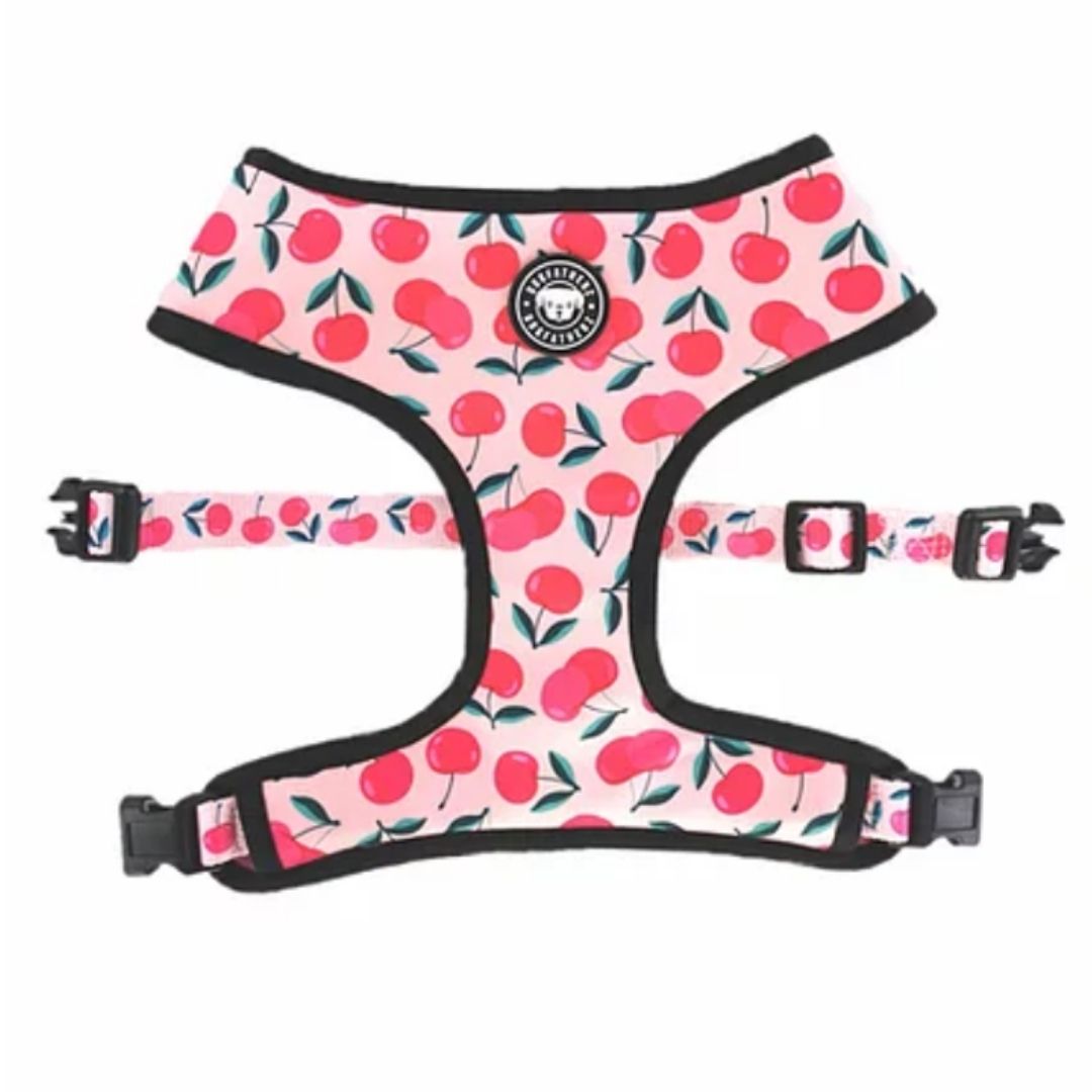 dog reversible harness