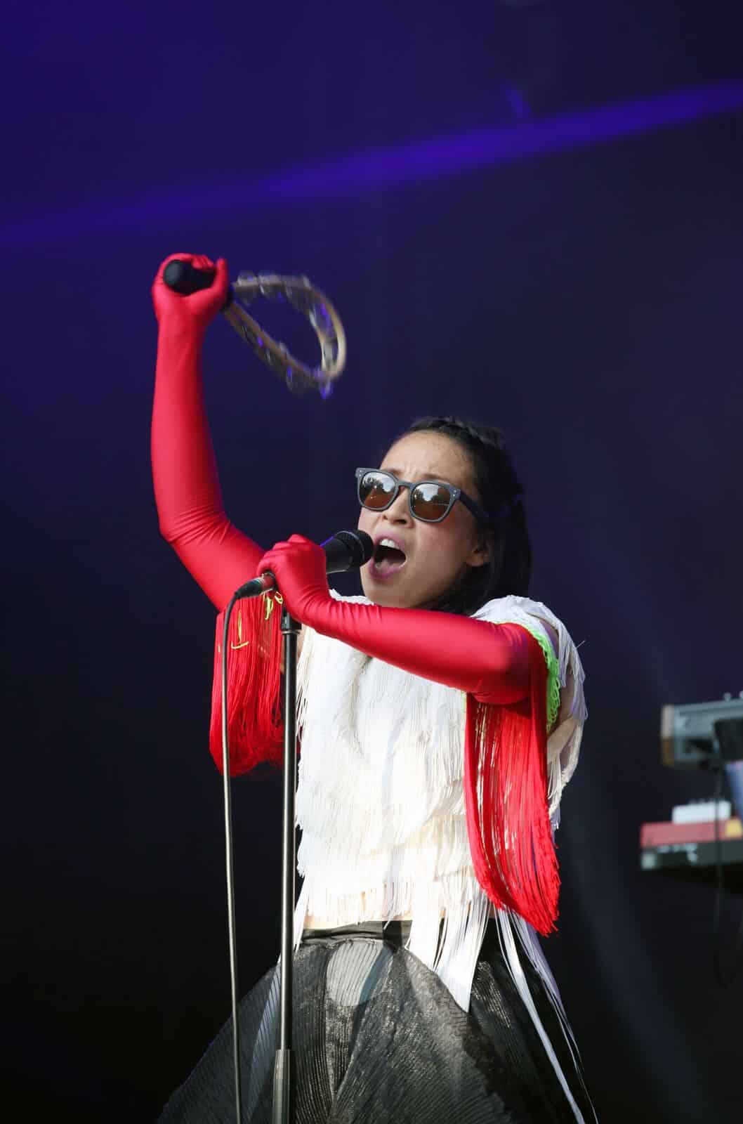 Little Dragon (foto: Merili Reinpalu)
