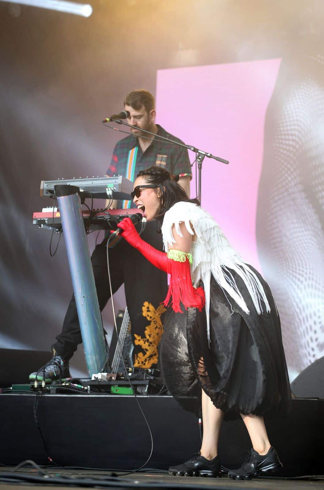Little Dragon (foto: Merili Reinpalu)