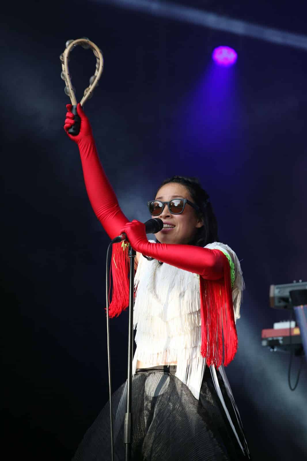 Little Dragon (foto: Merili Reinpalu)