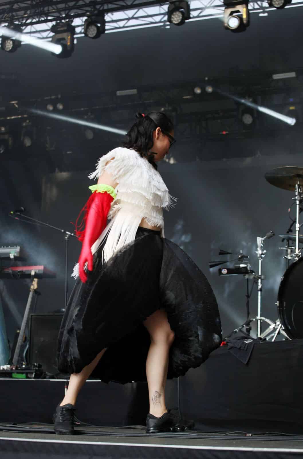 Little Dragon (foto: Merili Reinpalu)