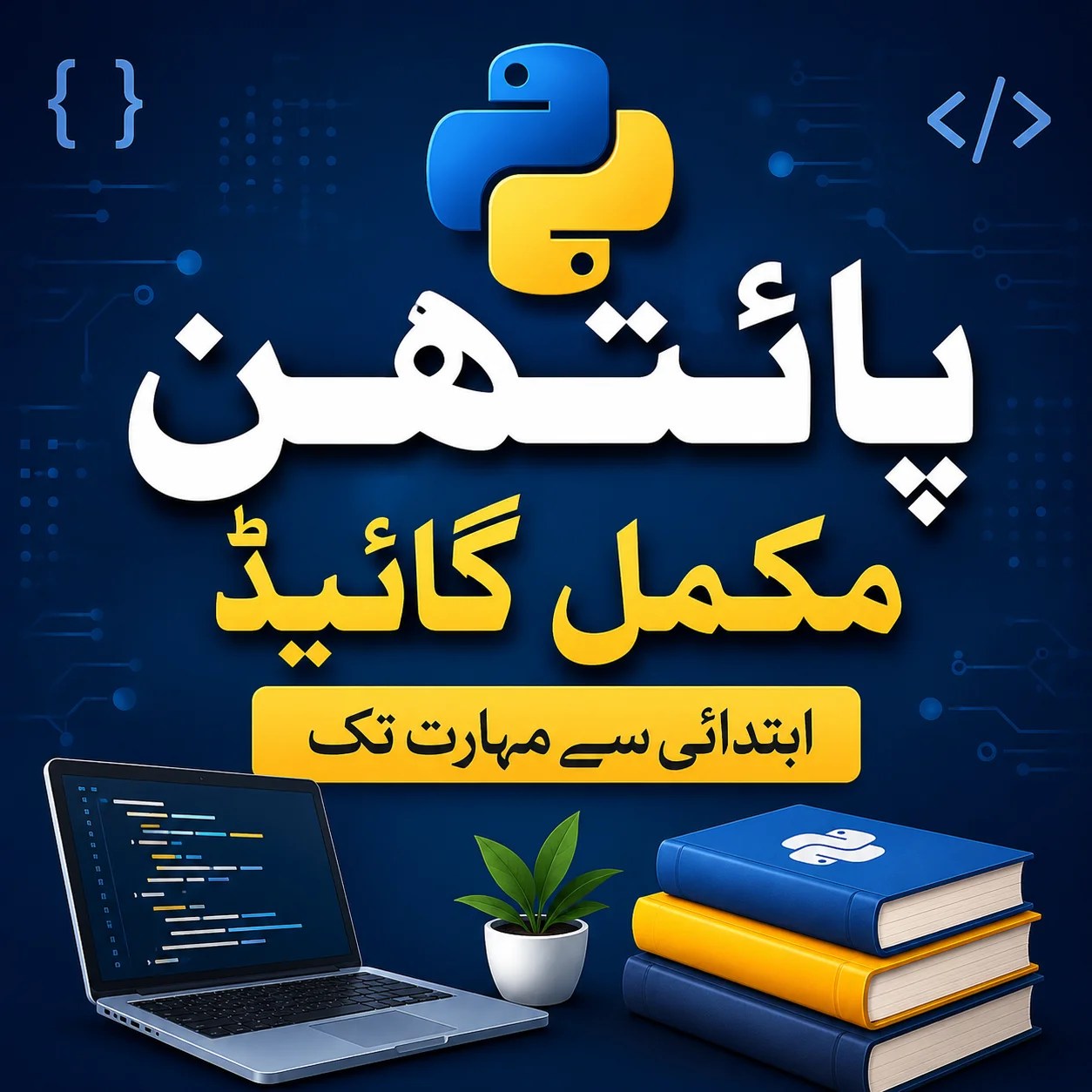 learn python and start your earning Now