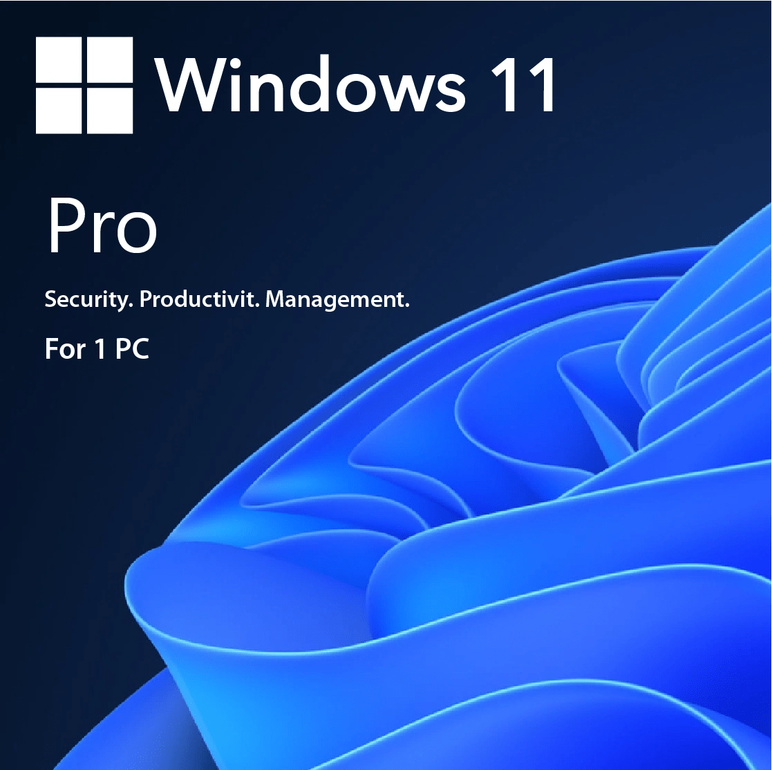 Windows-11-Professional