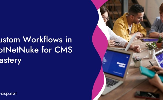 Custom Workflows In DotNetNuke For CMS Mastery