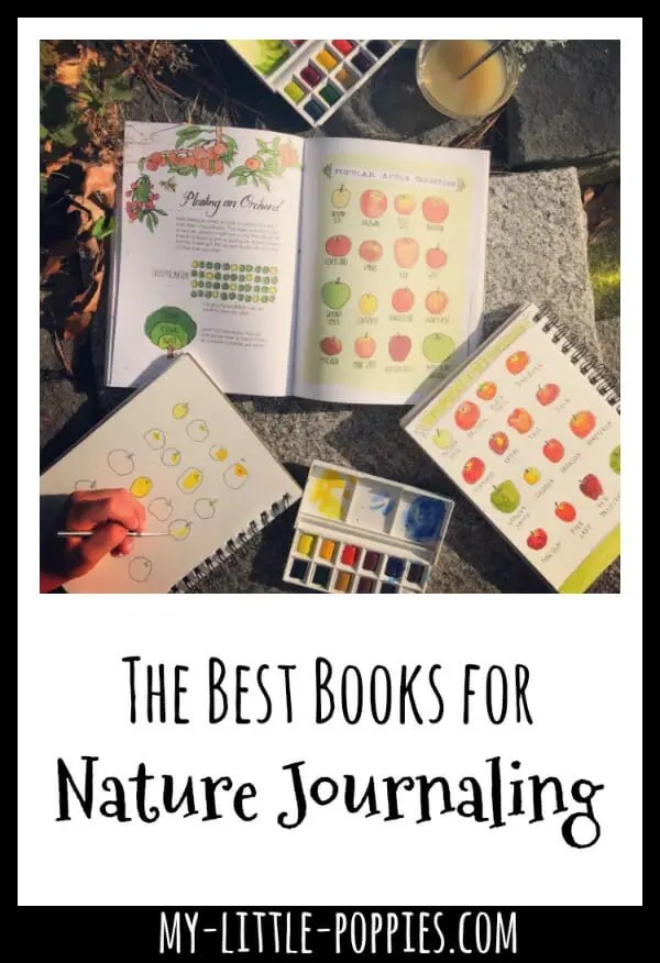 The Best Nature Journaling Books for Creativity and Inspiration