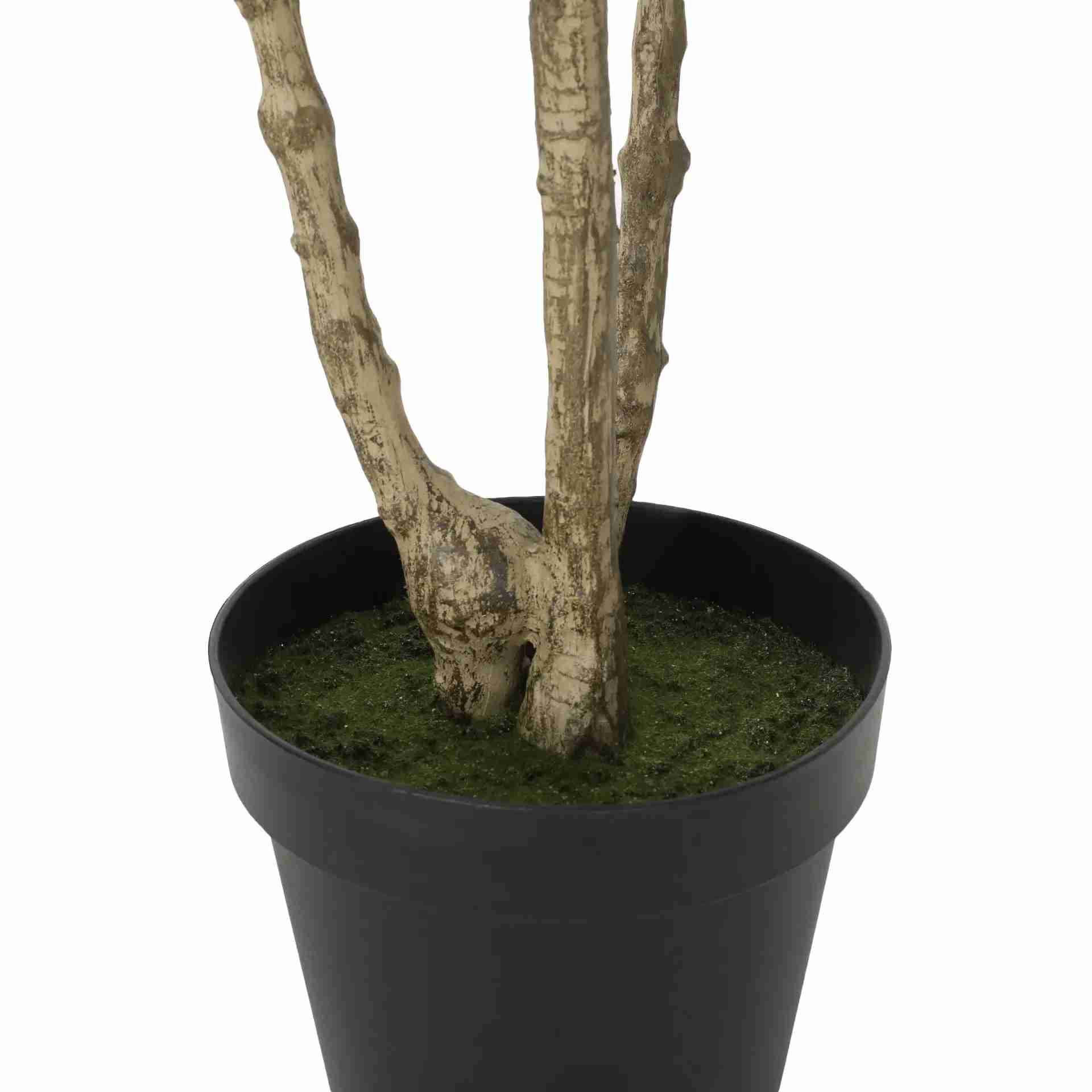 240 CM ARTIFICIAL PIERIS TREE