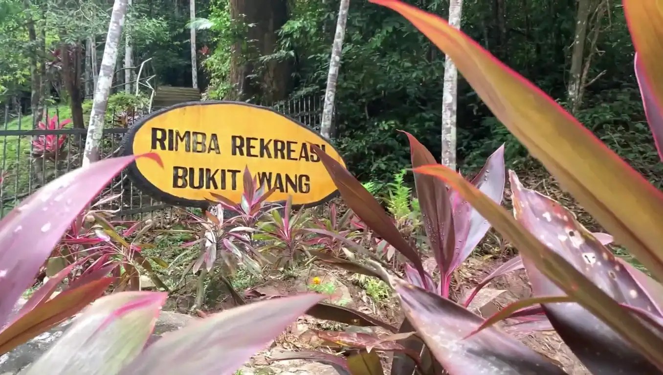 Bukit Wang di Jitra adalah hutan lipur yang menawarkan kawasan mandi sepanjang 1 km dan aktiviti seperti trekking. Tempat ini ideal untuk penggemar alam semula jadi dan aktiviti luar.