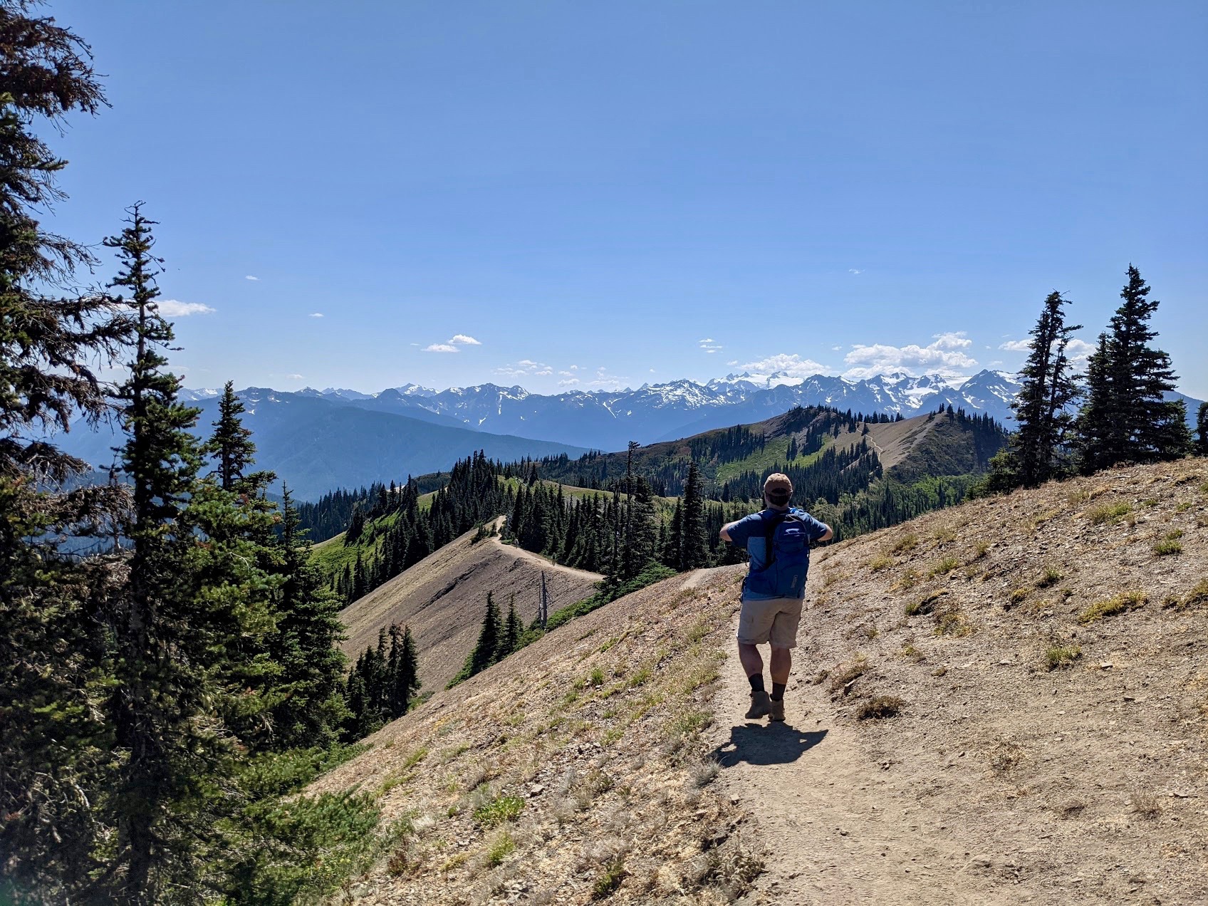 hurricane ridge trail