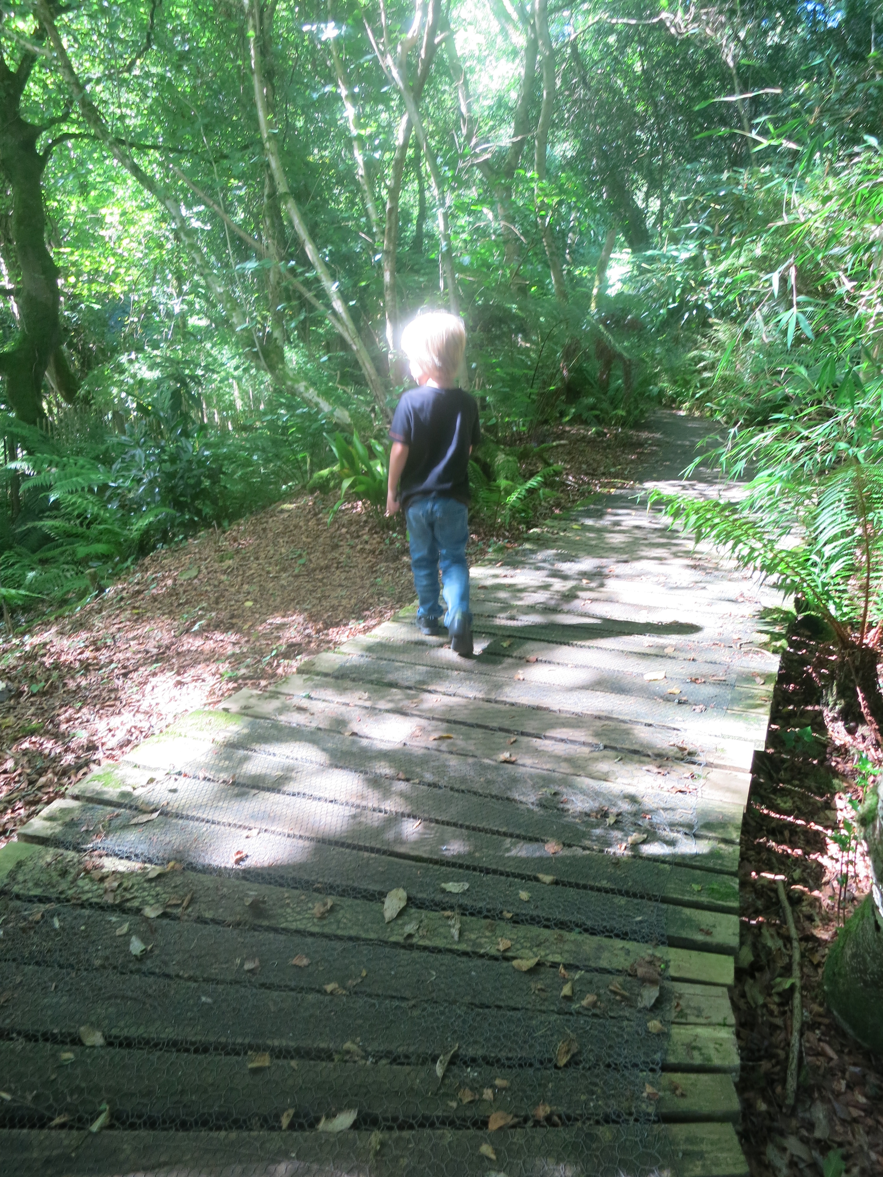 J exploring