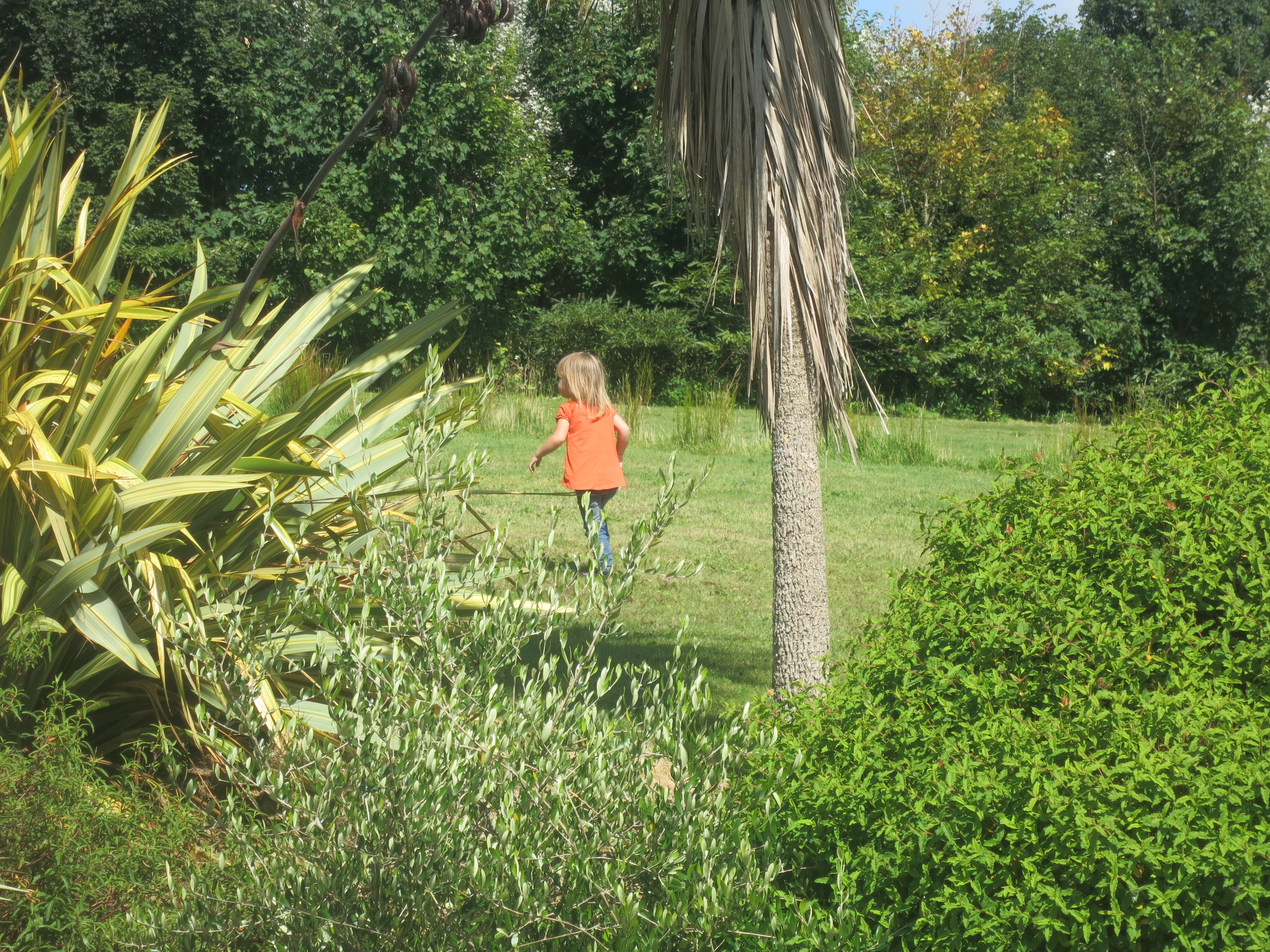 T exploring