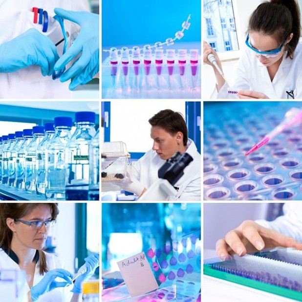 The Future of Animal Testing in the USA Depends on YOU
