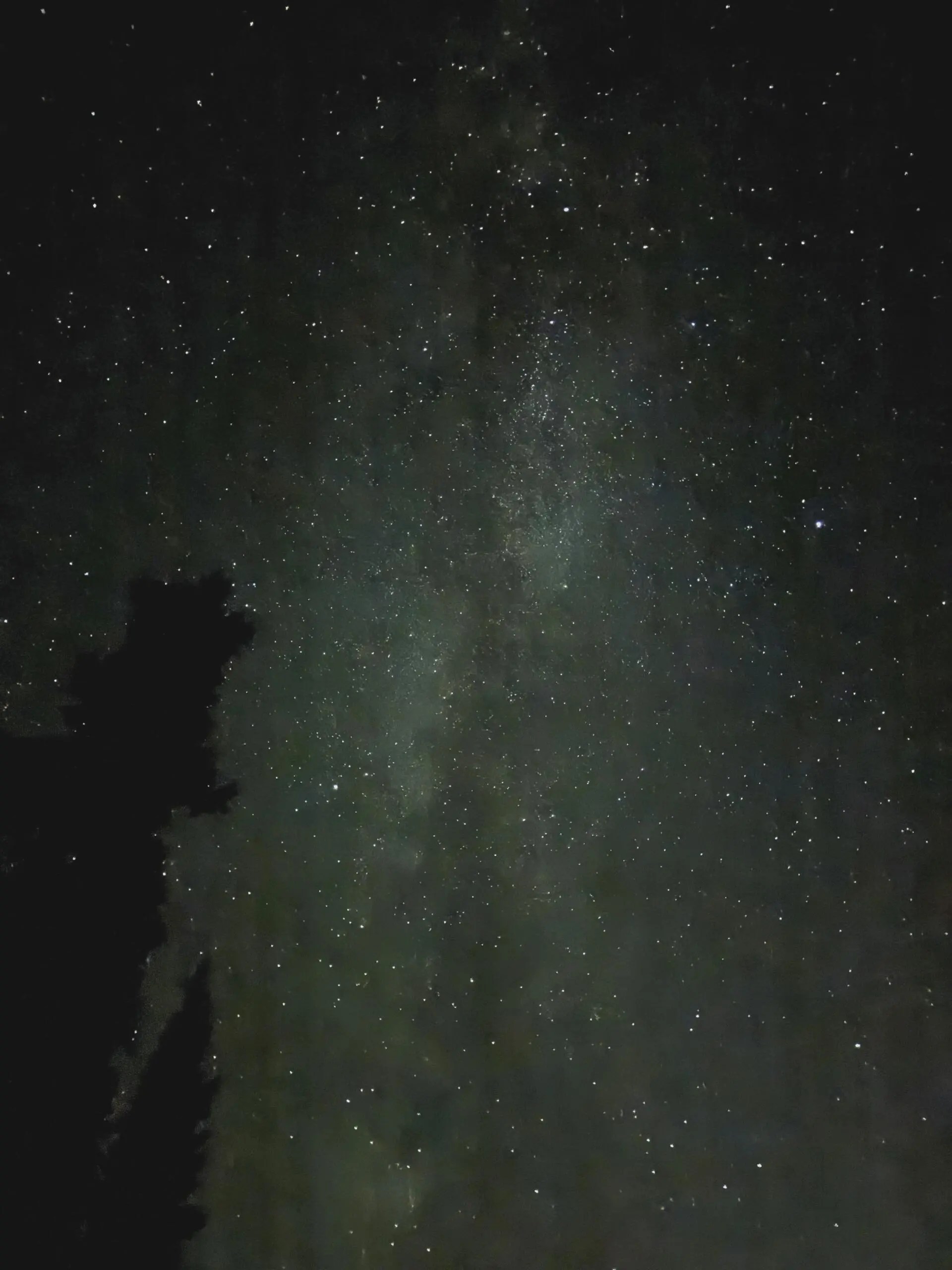 The Milky Way seen from Heather Meadows. Image courtesy of Robert Wilmore