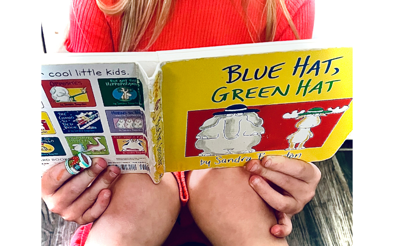 Read more about the article Board Books: Ignite the Joy of Reading with “Blue Hat, Green Hat” by Sandra Boynton