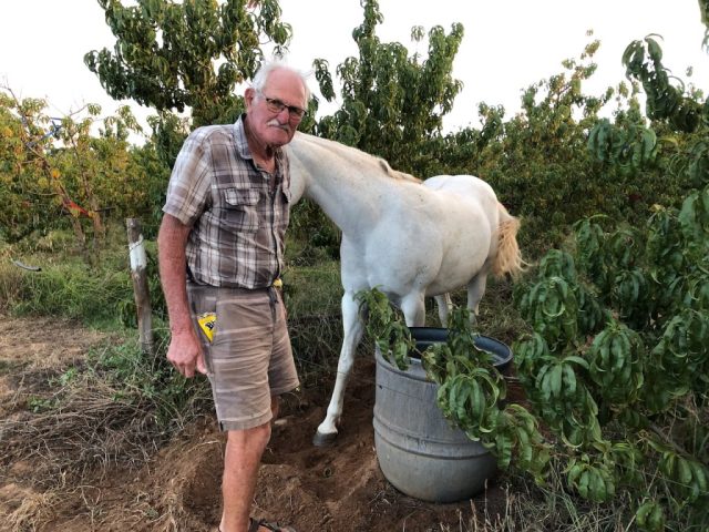 fritz bretenbach Tim Atkin South Africa Special Report 2025 viticulturist of the year