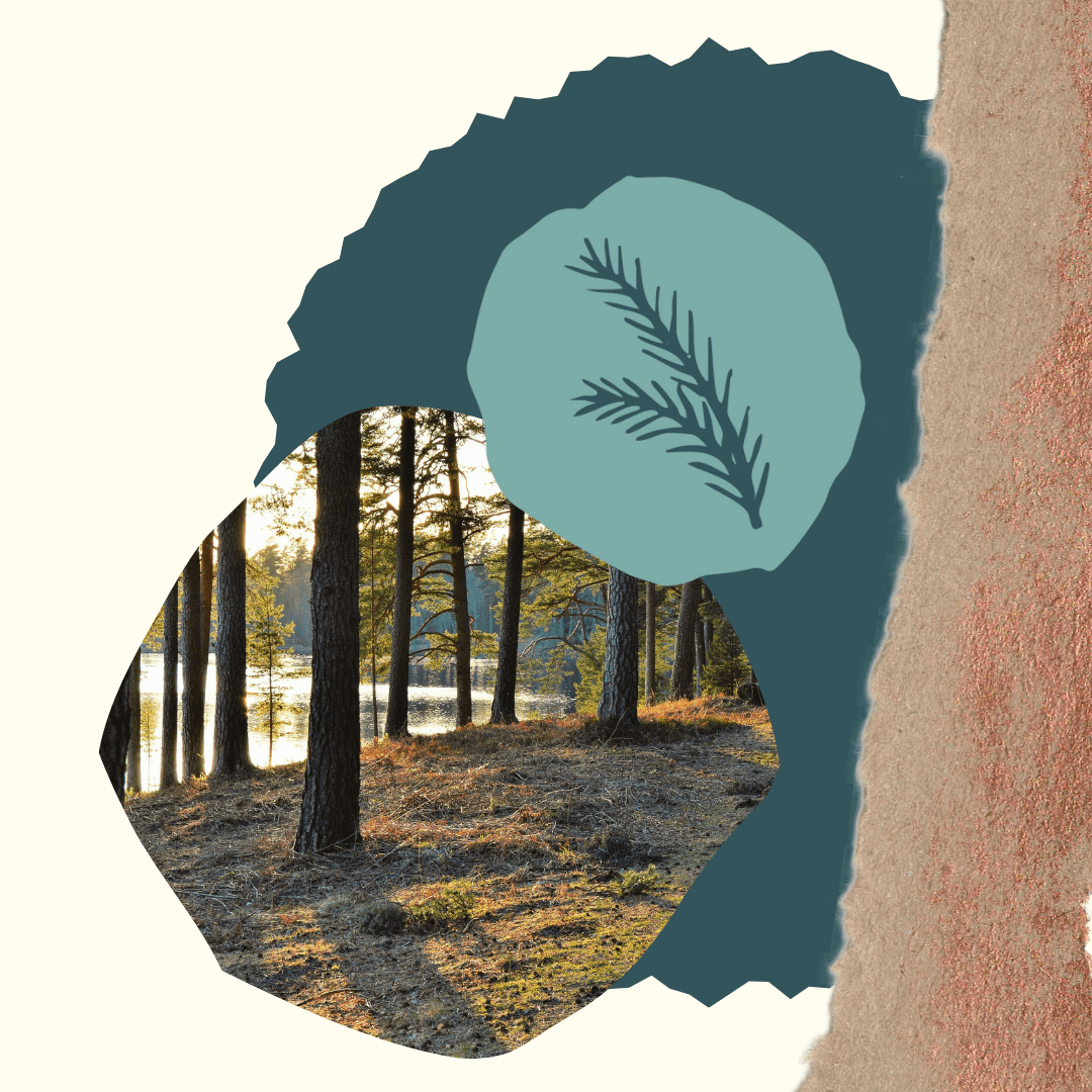 Visual brand graphic elements