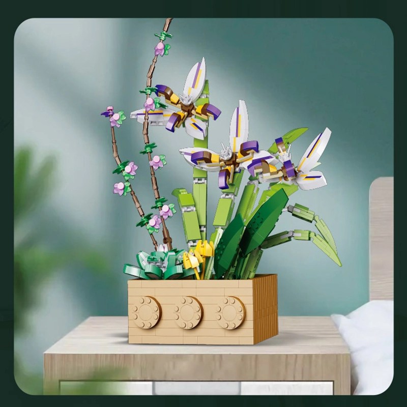 Gladiolus lego